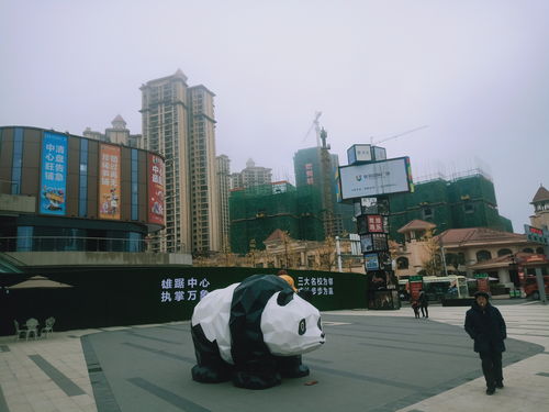 四川巴中 房地產(chǎn)銷售亂象調(diào)查 優(yōu)筑歐洲城突出