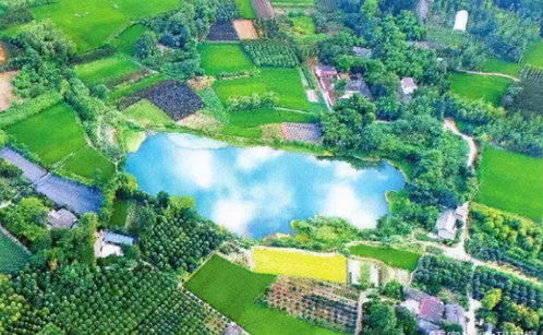 23億負(fù)債壓頂，22年老牌房企申請破產(chǎn)！阜陽房企承壓，四川地產(chǎn)亦現(xiàn)隱憂