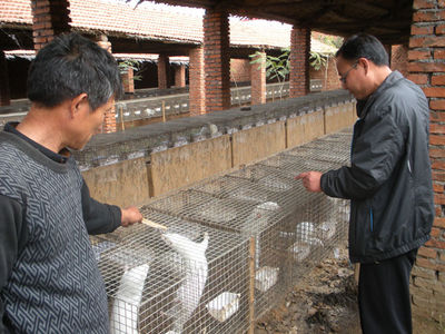 皇華社區分院特種動物養殖技術培訓班 家禽養殖新動能，助力鄉村振興